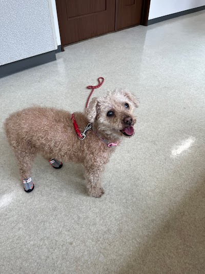 ひかり動物病院