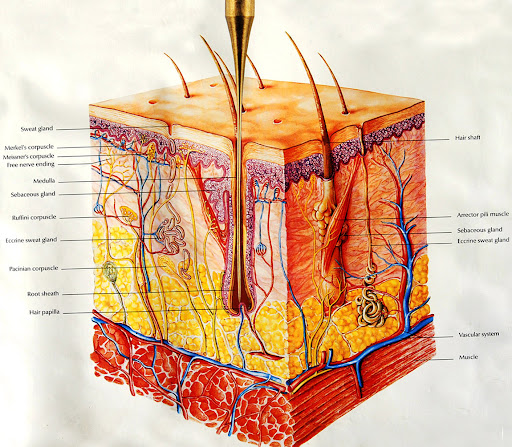Electrolysis - Visual
