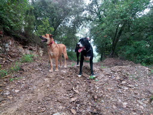 Parque en Can Pi - Thumbnail