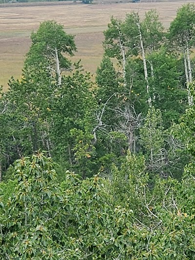 Lower Saint Mary Lake