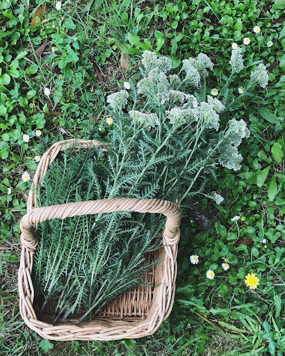 The Cottage Herbalist - Thumbnail