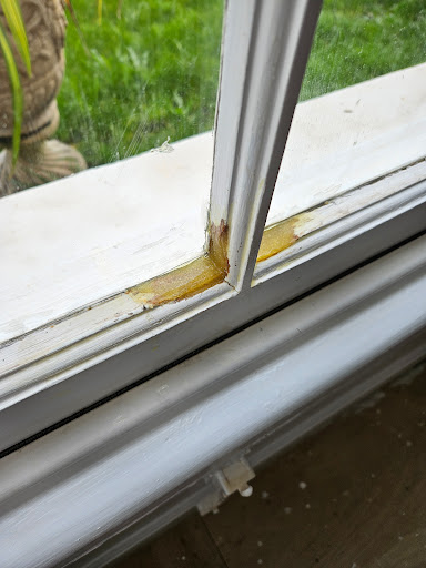 Walkers Painting And Decorating Services - Thumbnail