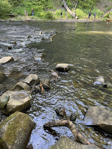 Beaver Falls - Visual