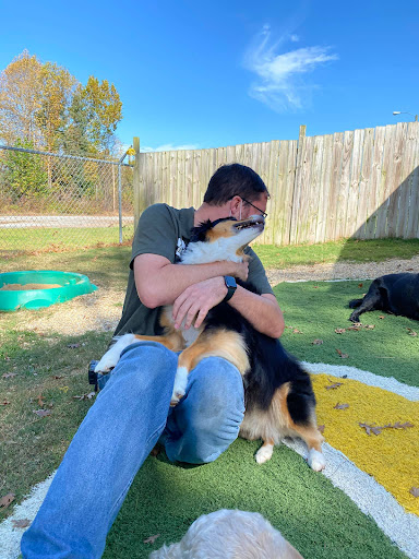Three Oaks Pet Resort - Thumbnail