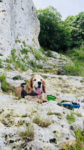 Climbing: Falesia “La Terrazza” - Thumbnail