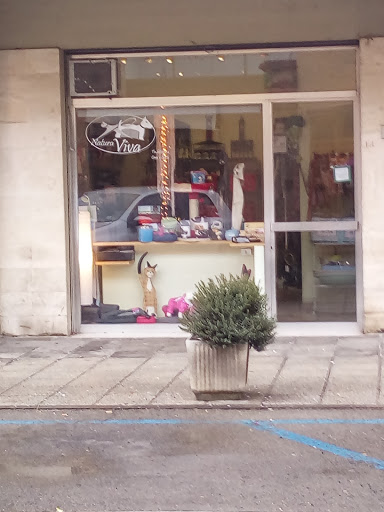 Natura Viva Di Bigazzi Patrizia Logo