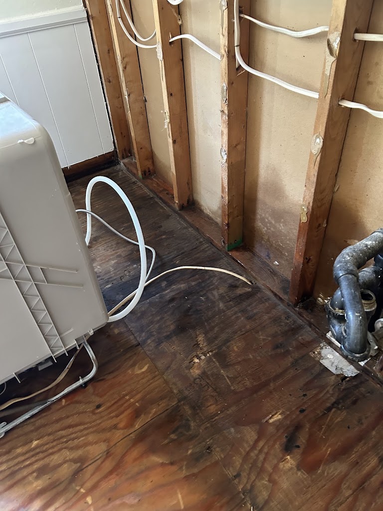 FloodX Mold And Water Damage Company photo