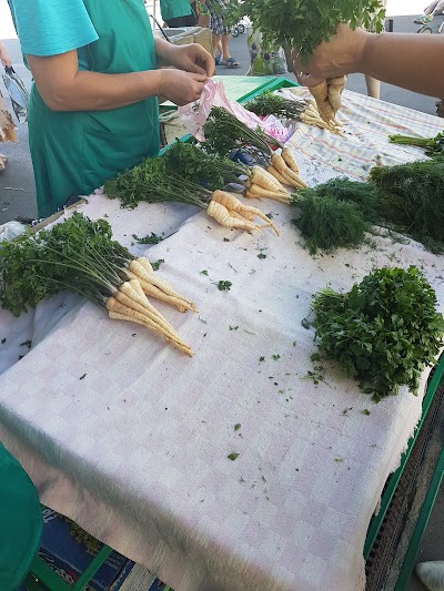 Photos of Zeleny Market
