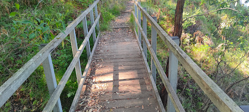 Awaba Bay Foreshore Walk Gallery - Australia