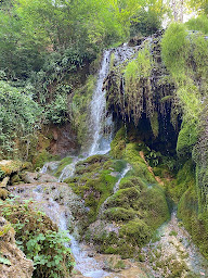 Photo n°20 de Camping Lézard Vacances à Morlhon-le-Haut (Agence de location de maisons de vacances)