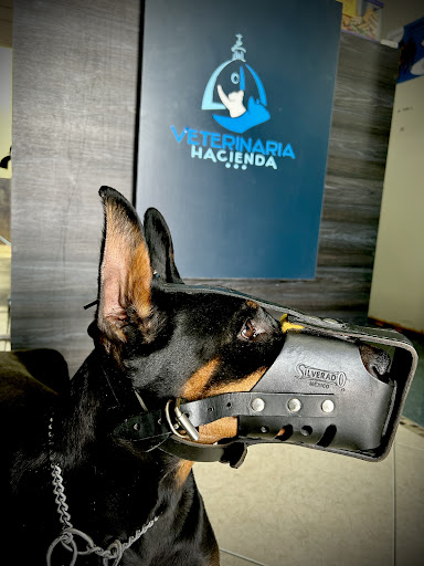 Veterinaria Hacienda - Thumbnail