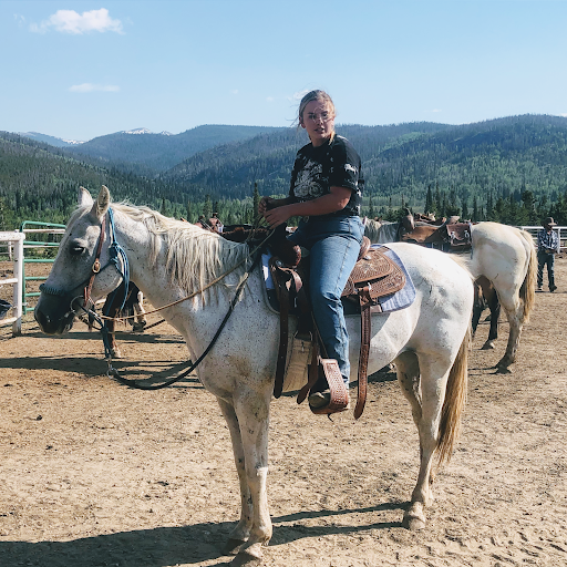 Rocky Mountain Stables Horseback Riding and Sleigh Rides - Thumbnail