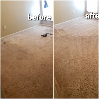 Luxury steam carpet cleaning