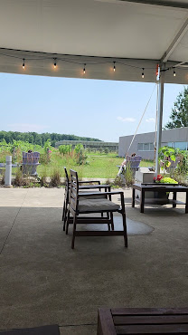 Southbrook Organic Vineyards by null