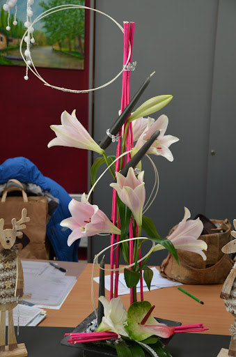 Photo de La marinasse