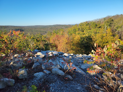 Buzzard's Rock