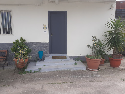 RCE SRLS - Visual