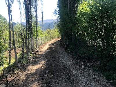 Photos of Uzunoğlu K&ouml;y&uuml; Mezarlığı