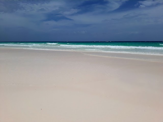 Pink Sands Beach