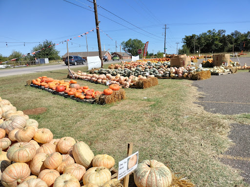 2021 Pumpkin Patch - Visual