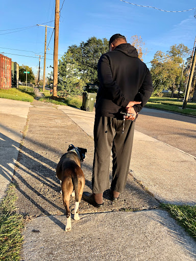 BossDog K9 Dog Training - Thumbnail