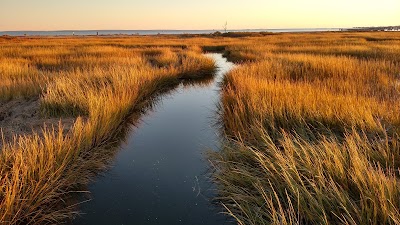 Charles Island Natural Area Preserve