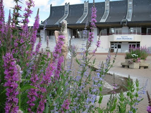 Photo n°3 de Champagné Basket - Sarthe à Champagné (Club de basket-ball)