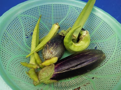 Photos of Gorontalo Berkebun
