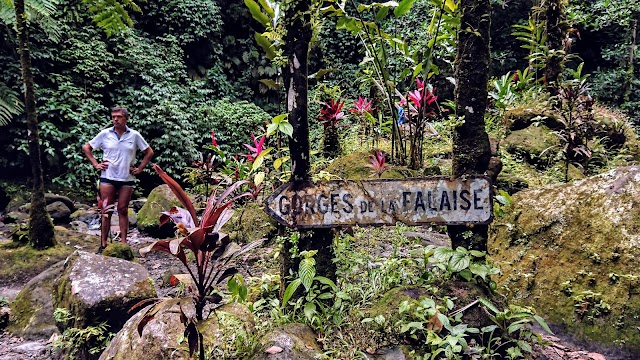 Gorges de la Falaise