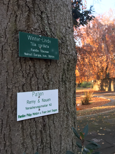 Remy & Nauen GmbH & Co. KG