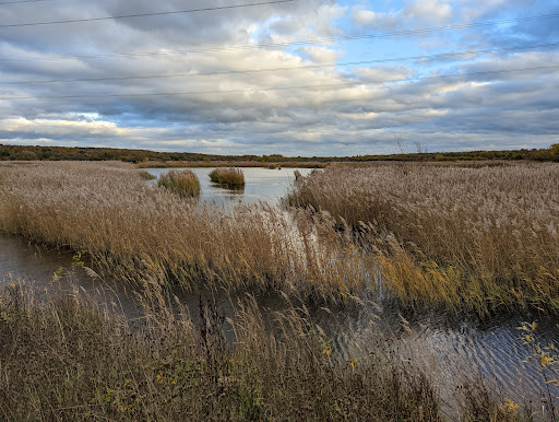 RSPB Dearne Valley - Old Moor - Thumbnail