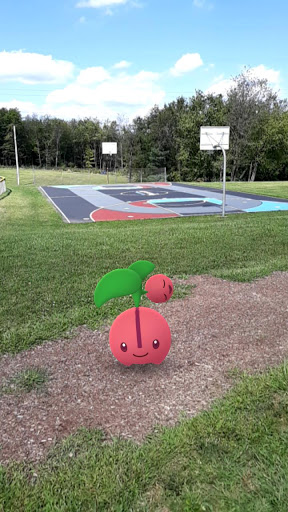 Raccoon Township Municipal Park