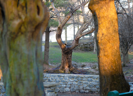 Glen Falls Park Parking - Thumbnail