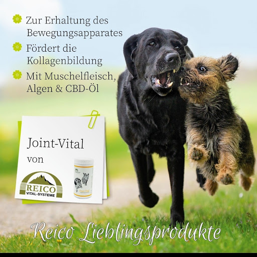 Reico Berater Vertrieb Stefanie Dörlitz - Thumbnail