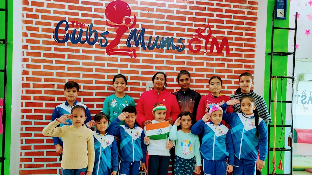 The Cubs N Mums Gym Gymnastics Dance Fitness Academy