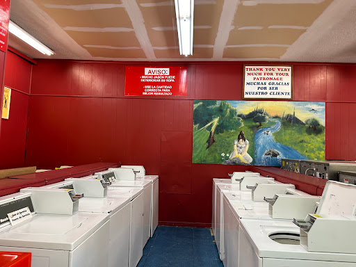 Aladdin Laundry - Visual