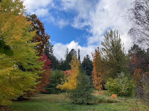 Finch Arboretum Woodland Center