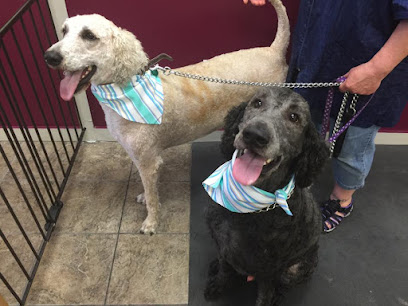 Four Paws & Claws Grooming Salon