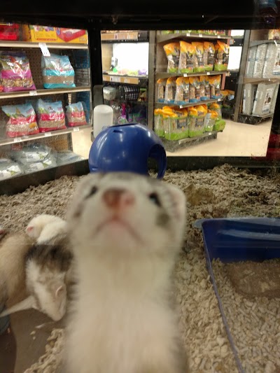 Petco