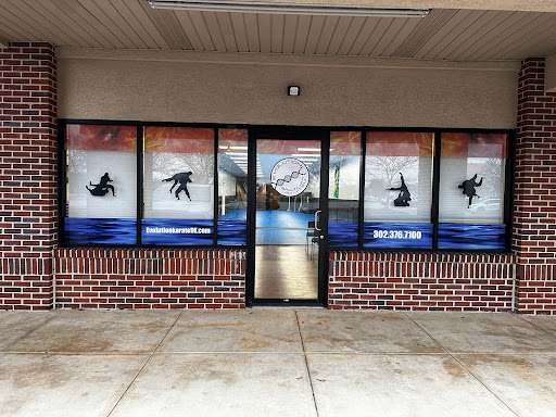 Evolution Karate Academy - Visual