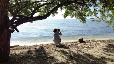Photos of Oyster Bed Lagoon