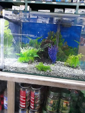 Ornamental Fish Aquarium, Author: Ellysmar Sulaiman