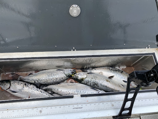 SOA Charters - Visual
