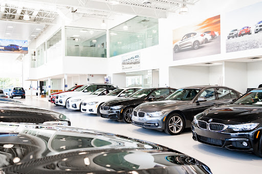 Hamel BMW - Visual