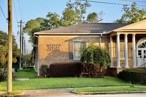 Treutlen County Library - Thumbnail
