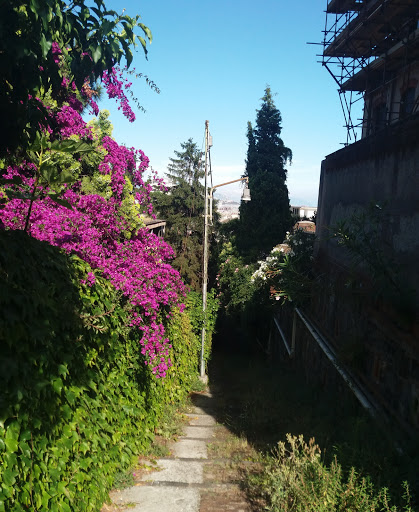 Parco di Villa Rosa Gallery - Italy