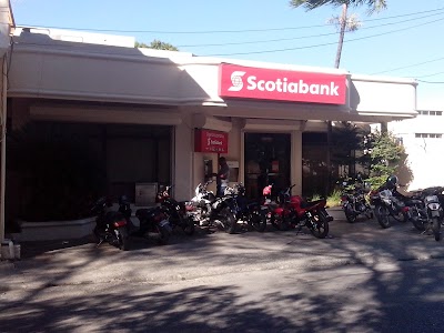 bank