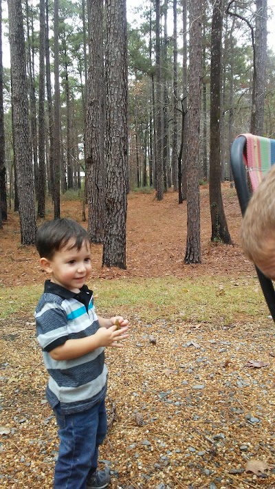 Gum Springs Campground and Picnic Area