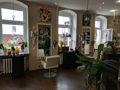 Salon Struwwelliese - Visual