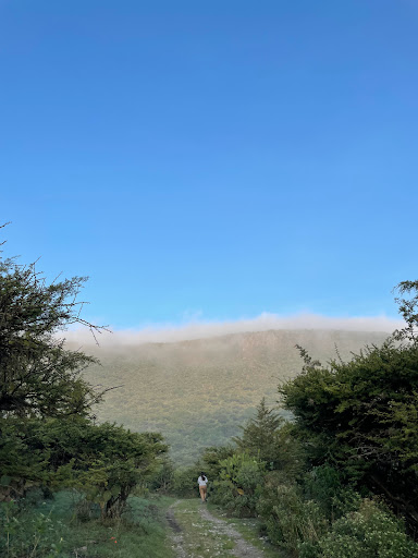 Cerro de la Ahumada / Área Protegida - Thumbnail